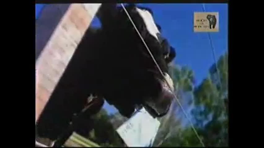 Ford Escort e Verona 96