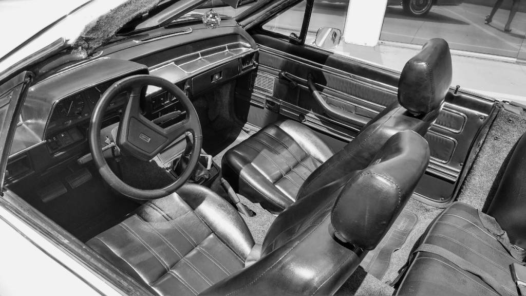 Del Rey Mustang Del Rey Mustang