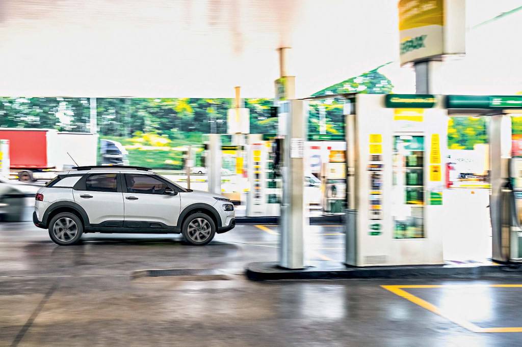 C4 CACTUS C4 CACTUS