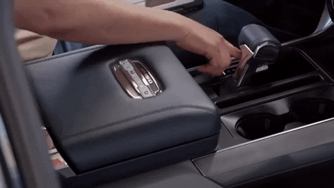 Ford GIF-downsized_large