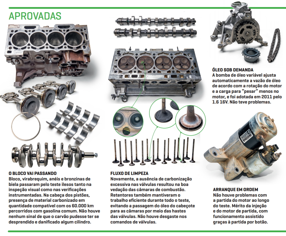 C4 Cactus aprovada 1