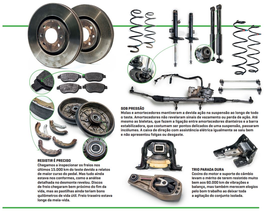 C4 Cactus aprovada 2