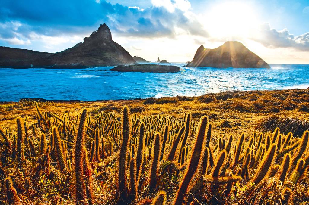 Fernando de Noronha Fernando de Noronha